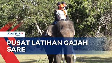 Libur Sekolah Wisatawan Ramai Kunjungi Pusat Latihan Gajah