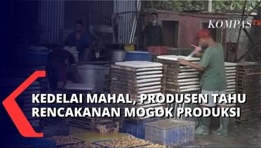Harga Kedelai Naik, Produsen Tahu di Cianjur Ancam Lakukan Mogok Produksi!
