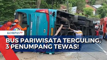 Bus Pariwisata Terguling di Bantul! 3 Orang Meninggal dan 29 Terluka