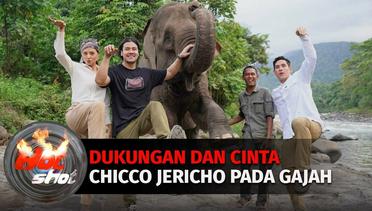Dukungan Dan Cinta Chicco Jericho Terhadap Gajah | Hot Shot