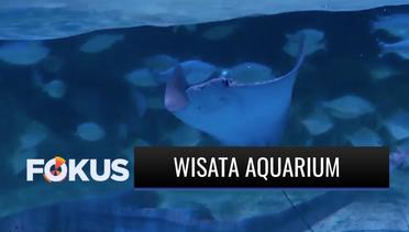 Pengunjung Antusias Kunjungi Wisata Aquarium di Jakarta dengan Terapkan Protokol Kesehatan