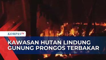 Kebakaran Hutan Lindung di Gunung Prongos Ponorogo Meluas Mendekati Permukiman Warga!
