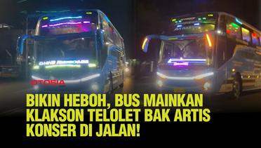Kejutan Malam di Jalan, Sopir Bus Bikin Meriah dengan Klakson Telolet!