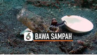 Rekaman Bayi Gurita Bawa Sampah Gelas Plastik di Laut