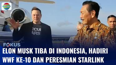 Elon Musk Tiba di Indonesia, Hadiri WWF ke-10 dan Peresmian Starlink | Fokus