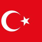Tim Nasional Bola Voli Putri Turki