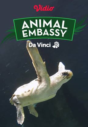 Animal Embassy
