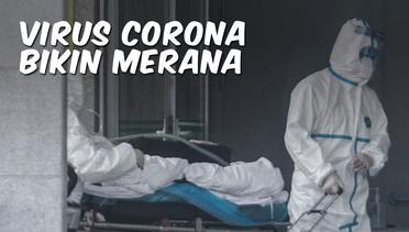 Virus Corona Bikin Merana