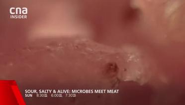 Trailer Sour, Salty & Alive: Microbes Meet Meat