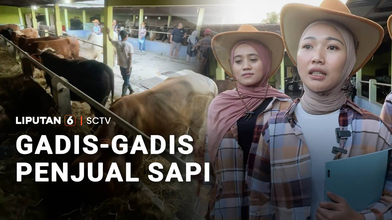 Pedagang Sapi di Kulon Progo Pakai SPG untuk Dongkrak Penjualan ...