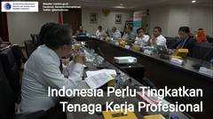 Indonesia Perlu Tingkatkan Tenaga Kerja Profesional