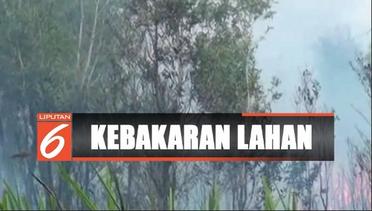 Petugas Berupaya Padamkan Kebakaran Hutan dan Lahan di Ogan Komering Ilir - Liputan 6 Siang