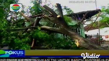 Angin Puting Beliung, Puluhan Rumah Rusak Dan Pohon Tumbang