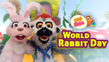 World Rabbit Day - ZooMoo