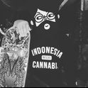 Dkrisyandi