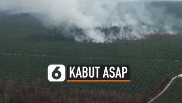 Pantauan Udara Kebakaran Hutan Palangka Raya