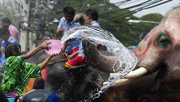 Serunya Perang Air dengan Gajah di Festival Songkran Thailand