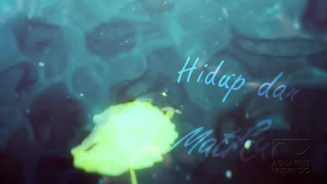 Ari Lasso - Lirih | Official Lyric Video