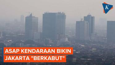 Musim Kemarau dan Kendaraan Bermotor Jadi Penyebab Polusi Udara Jakarta