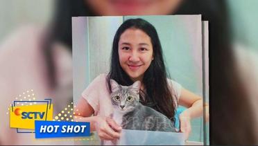 Geram!! Sherina Munaf Ikut Berkomentar Atas Kasus Kucing yang Dijagal dan Dijual Dagingnya | Hot Shot