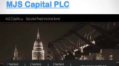 MJS Capital Management, MJS Capital Review