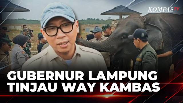 Tinjau Taman Nasional Way Kambas Usai Karhutla, Gubernur Lampung: Semua Gajah Sehat | SAPA PAGI