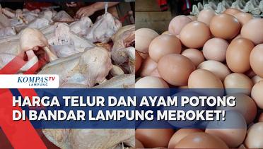 Harga Ayam Potong dan Telur Meroket di Bandar Lampung