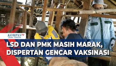 LSD dan PMK Masih Marak, Dispertan Kota Semarang Gencar Vaksinasi