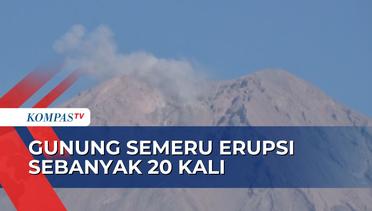 Gunung Semeru Erupsi 20 Kali, Kolom Abu Setinggi 900 Meter Terbentuk di Puncak Kawah!