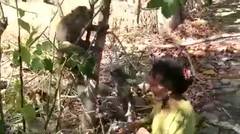 Kehilanfan rumah, nenek korban gempa Lombok tinggal sendiri bersama 3 ekor monyet peliharaannya