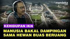 Ternyata Kehidupan IKN Nanti Manusia Bakal Berdampingan Sama Hewan Buas Beruang Kalimantan