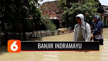 Tanggul Sungai Cipanas Jebol, Lima Desa di Indramayu Terendam Banjir | Liputan 6