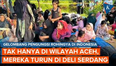 147 Pengungsi Rohingya Mendarat di Deli Serdang, Nahkoda Kabur