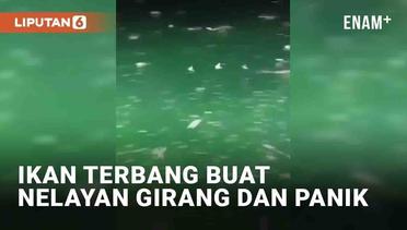 Momen Ribuan Ikan Terbang Buat Nelayan Girang Sekaligus Panik
