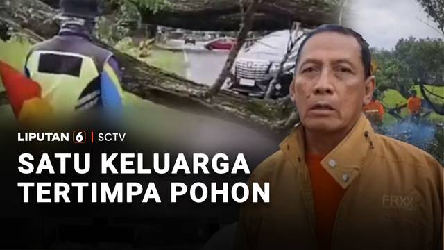 Satu Keluarga Tertimpa Pohon | Liputan 6
