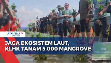 Jaga Ekosistem Laut, KLHK Tanam 5.000 Pohon Mangrove