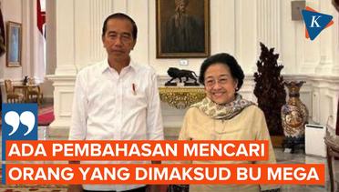 Pertemuan Jokowi-Megawati Lebih dari Pertemuan Presiden - Ketum Partai