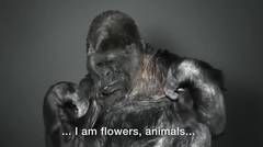 Gunakan bahasa Isyarat, Gorila Ini Beri Pesan Agar jaga Lingkungan 