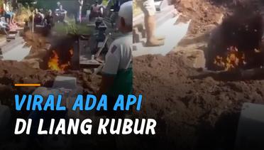 Viral Ada Api di Liang Kubur, Warganet: Bakar Semut