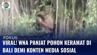 Viral Turis Asing Panjat Pohon Keramat di Tabanan Bali Demi Konten Medsos | Fokus