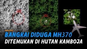 Bangkai Diduga MH370 Ditemukan di Hutan Kamboja via Satelit