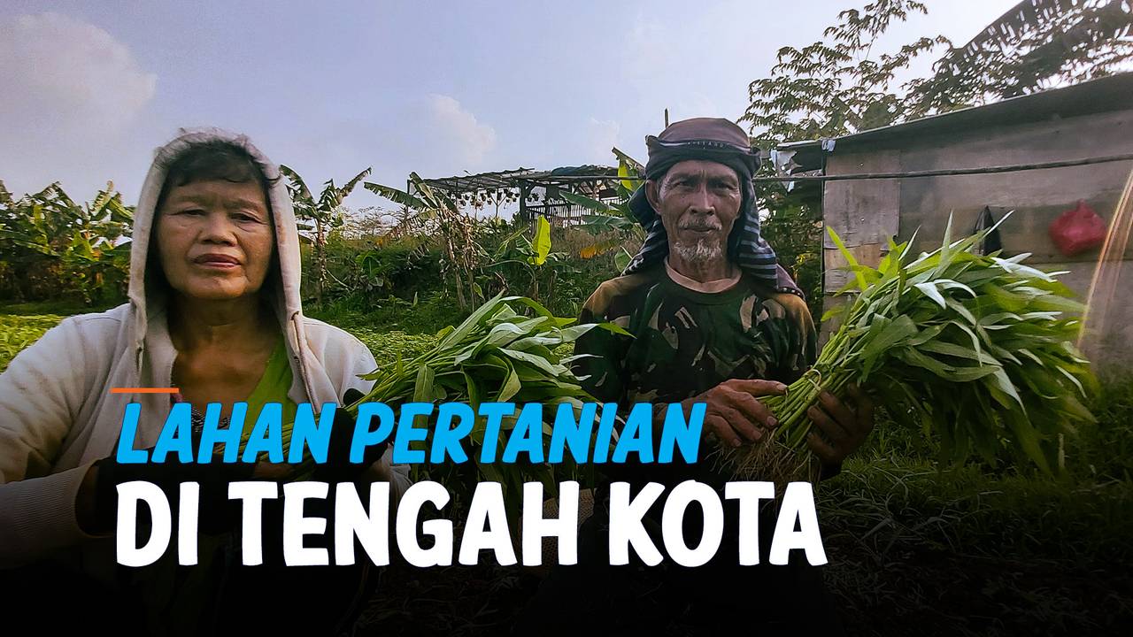 Bagaimana Ibu Rumah Tangga Membantu Suami di Lahan Pertanian