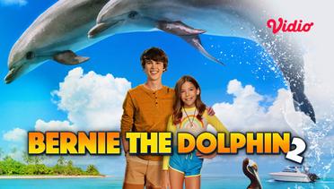 Bernie the Dolphin 2