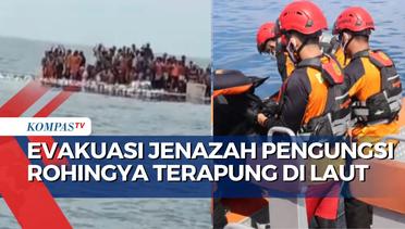 Kapal Terbalik, Begini Usaha Tim SAR Evakuasi Jenazah Pengungsi Rohingya yang Terapung di Laut Aceh