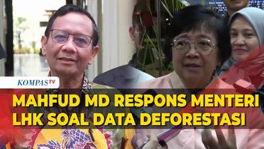 Mahfud MD Tanggapi Menteri LHK Soal Deforestasi: Bukan Salah, Tapi Beda Baca Data