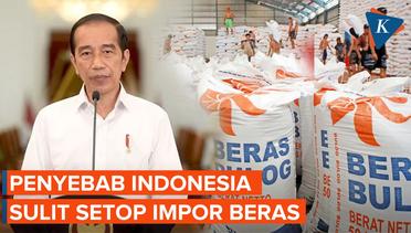Jokowi Jelaskan Indonesia Sulit Setop Impor Beras dari Negara Lain