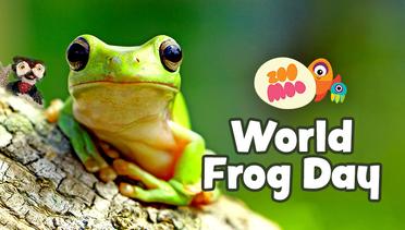 ZooMoo Special: World Frog Day