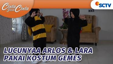 Gemesinn!! Arlos & Lara Pake Kostum Kumbang & Lebah | Cinta Setelah Cinta - Episode 630