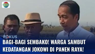 Ikuti Panen Raya, Presiden Jokowi Pantau Sawah dan Bagi-bagi Sembako kepada Warga | Fokus
