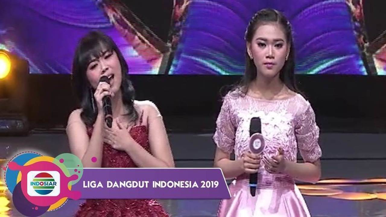 Chiroyli tranny xorozlar